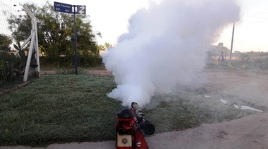 Fumigación contra mosquitos