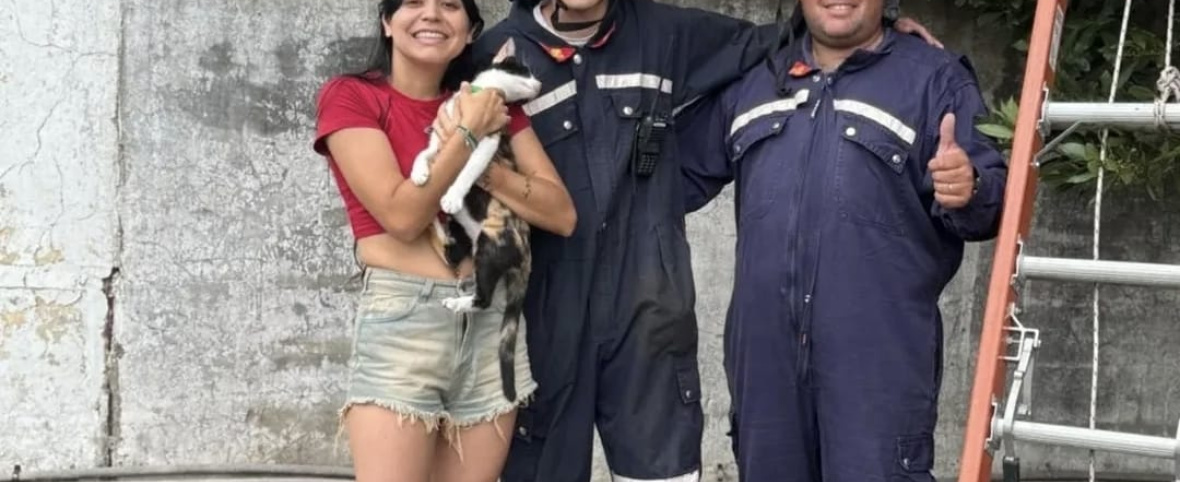 Bomberos de Arroyo Dulce rescataron a una gatita que no podía bajar de un árbol