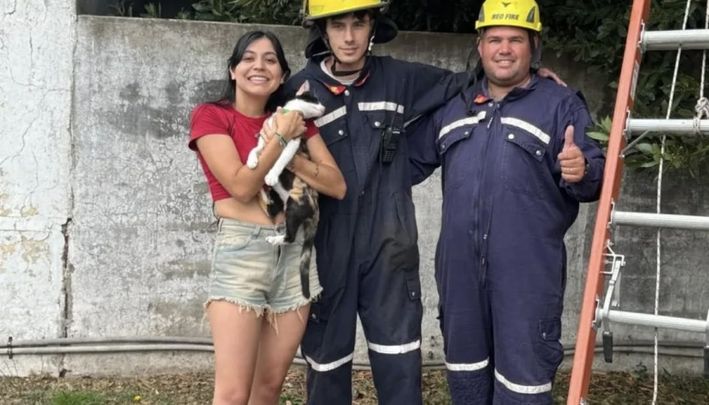 Bomberos de Arroyo Dulce rescataron a una gatita que no podía bajar de un árbol