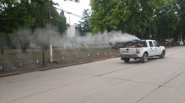 Fumigación contra mosquitos y alacranes