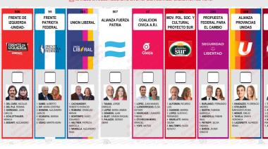 Elecciones 2025 : cómo es la Boleta Única de la provincia de Buenos Aires