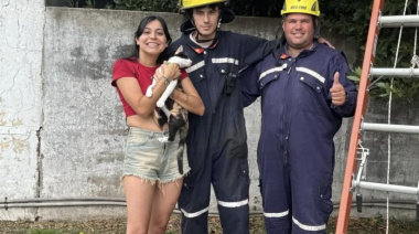 Bomberos de Arroyo Dulce rescataron a una gatita que no podía bajar de un árbol