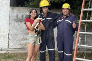 Bomberos de Arroyo Dulce rescataron a una gatita que no podía bajar de un árbol