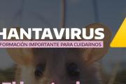 Alerta por hantavirus: síntomas y cómo prevenir la enfermedad
